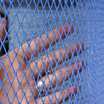 6 PLY Nylon Multifilament Fishing Net – TWIN 2X3 Double Knot